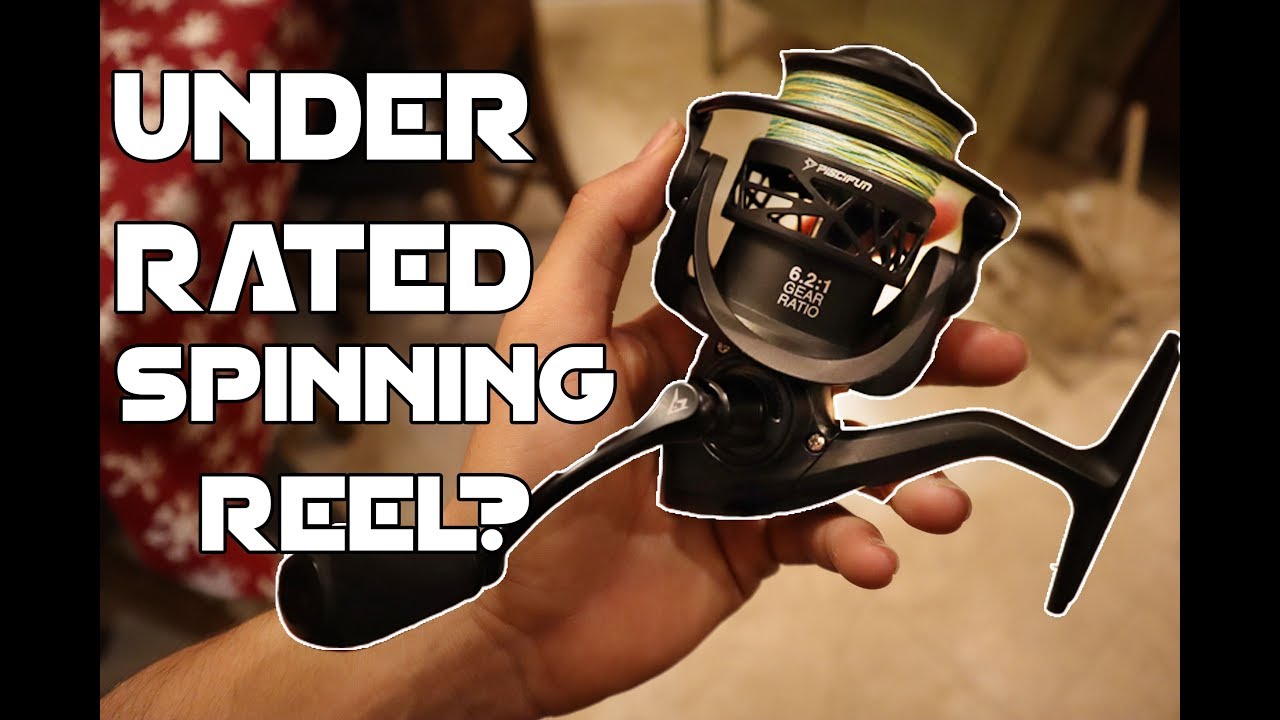 Most Underrated Spinning Reel? NEW Piscifun Carbon X Spinning Reel Review!