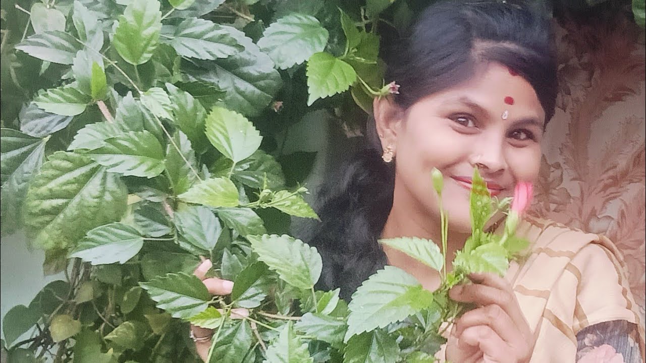 @WARANGAL
