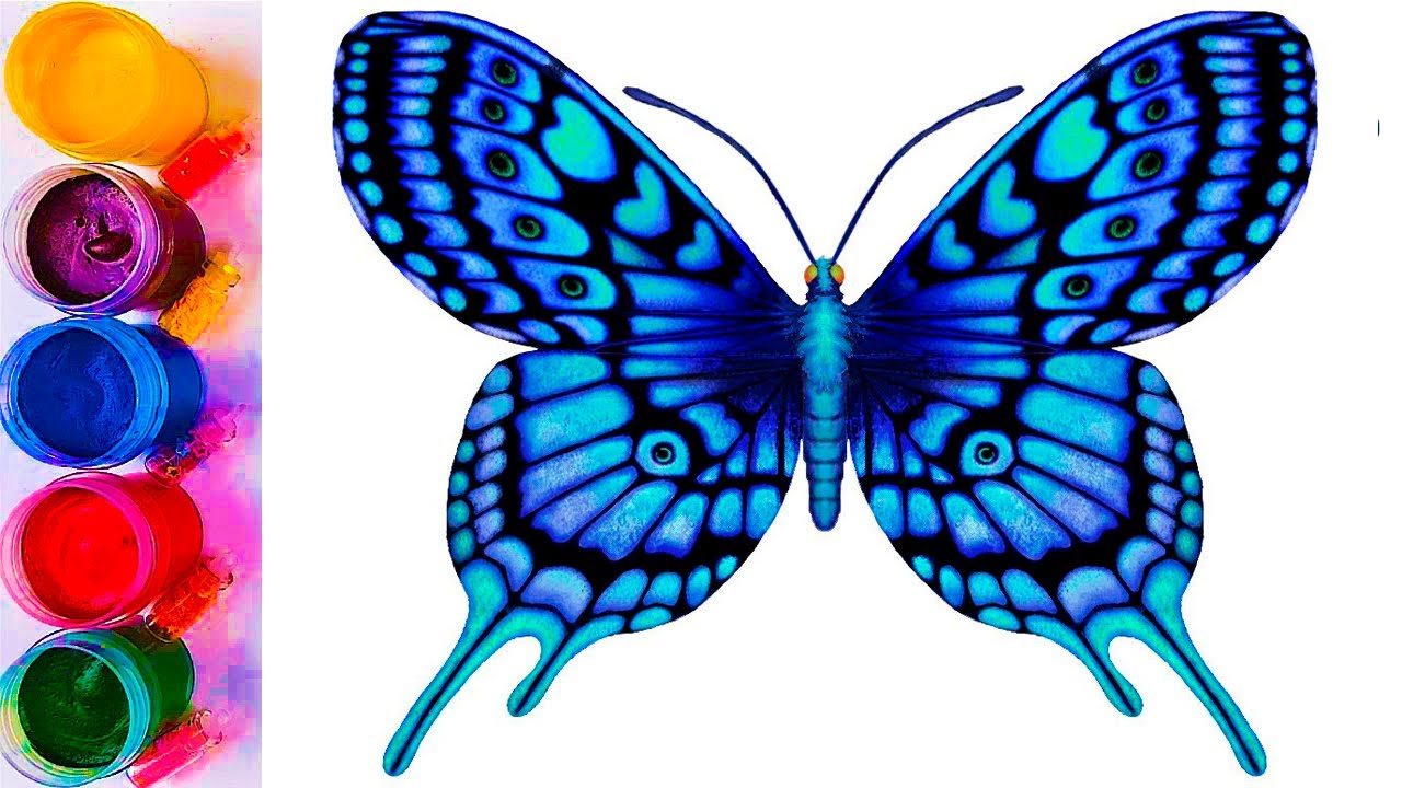 wie man einen Schmetterling f&uuml;r Kinder zeichnet . Bolajon uchun kapal rasmini chizish .