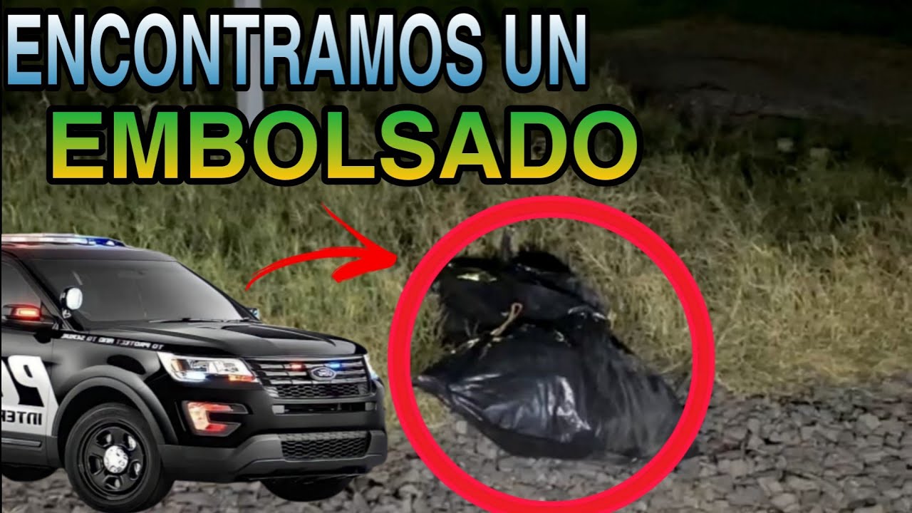 vimos cómo tiraron a este embolsado
