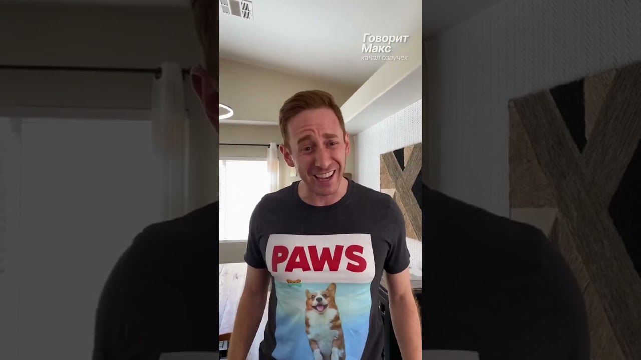 Мама скоро вернется домой - Говорящие корги Хэмми и Оливия - @HammyandOlivia