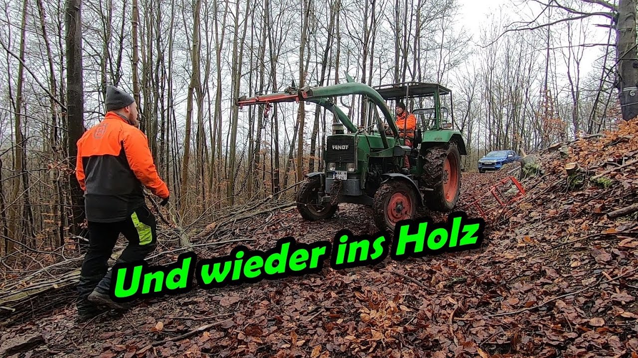 Und wieder Brennholz | Mit dem Fendt im Wald | Grüner Wolf Kanal