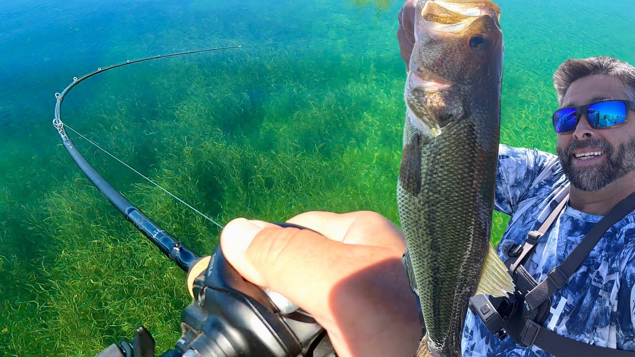 Sight Fishing Bass In Shallow Clear Water! EPIC FIGHT!!!!