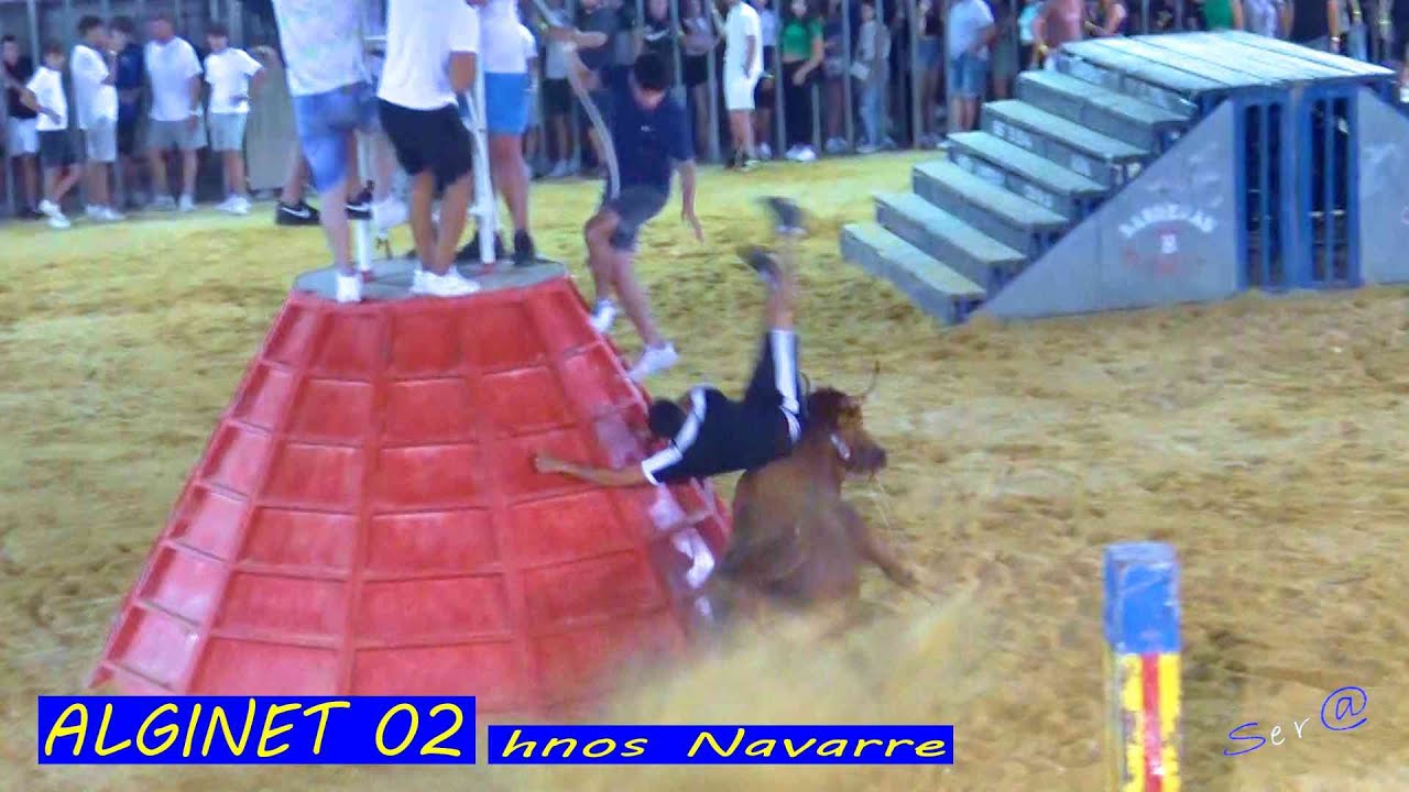 ✅2024 ALGINET 02 PELIGROSA la Vaca Morena