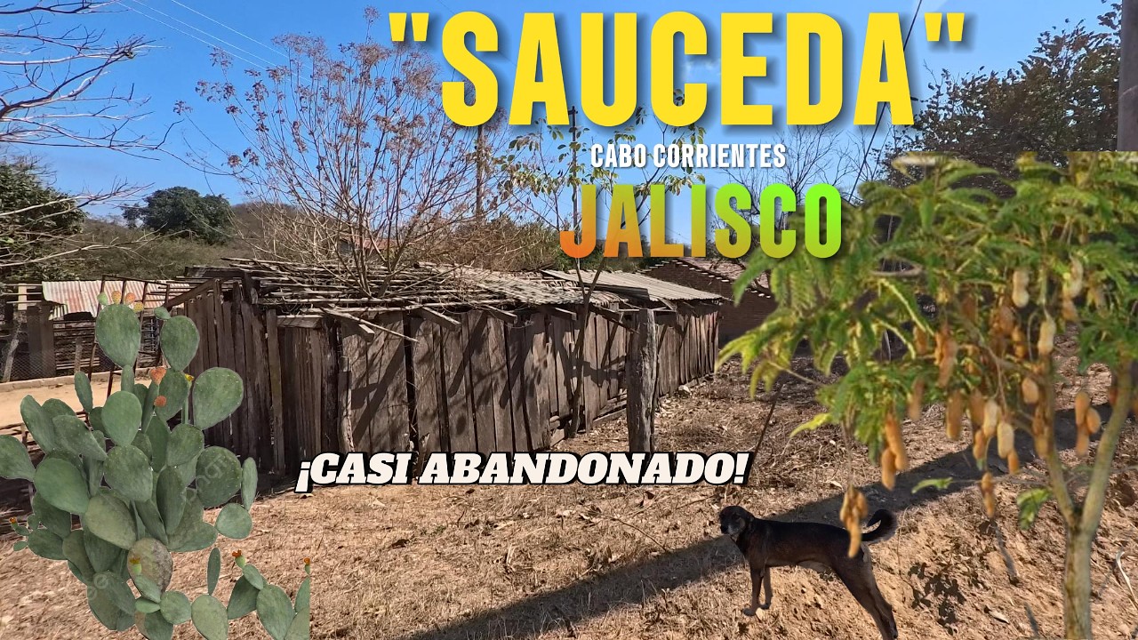 VISITAMOS SAUCEDA..ANTES QUE DESAPAREZCA