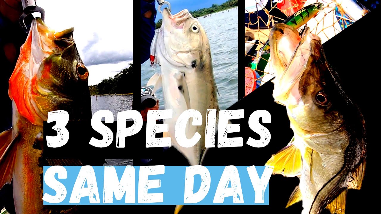 How to fish with a LURE - 3 SPECIES in 1