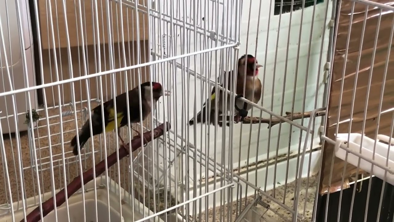 خاتمة