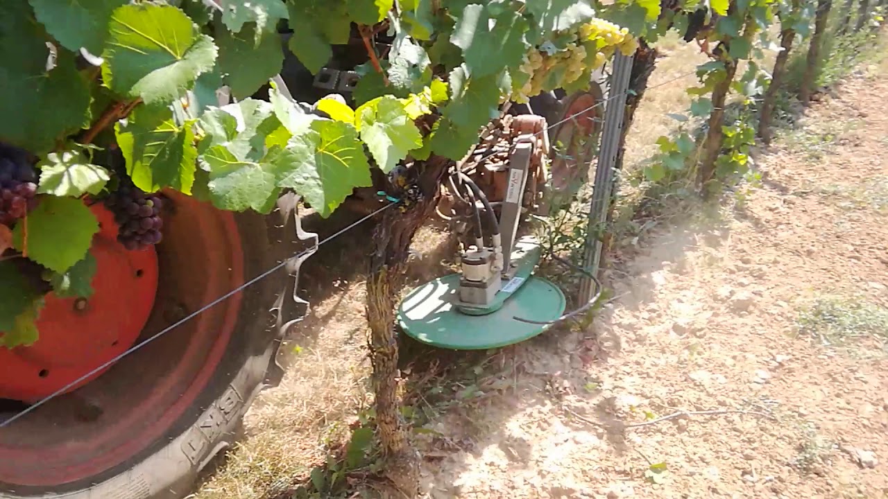 Theilmann-Landtechnik Fadenmähkopf für Unterstockbearbeitung mit Taster Teil 1
