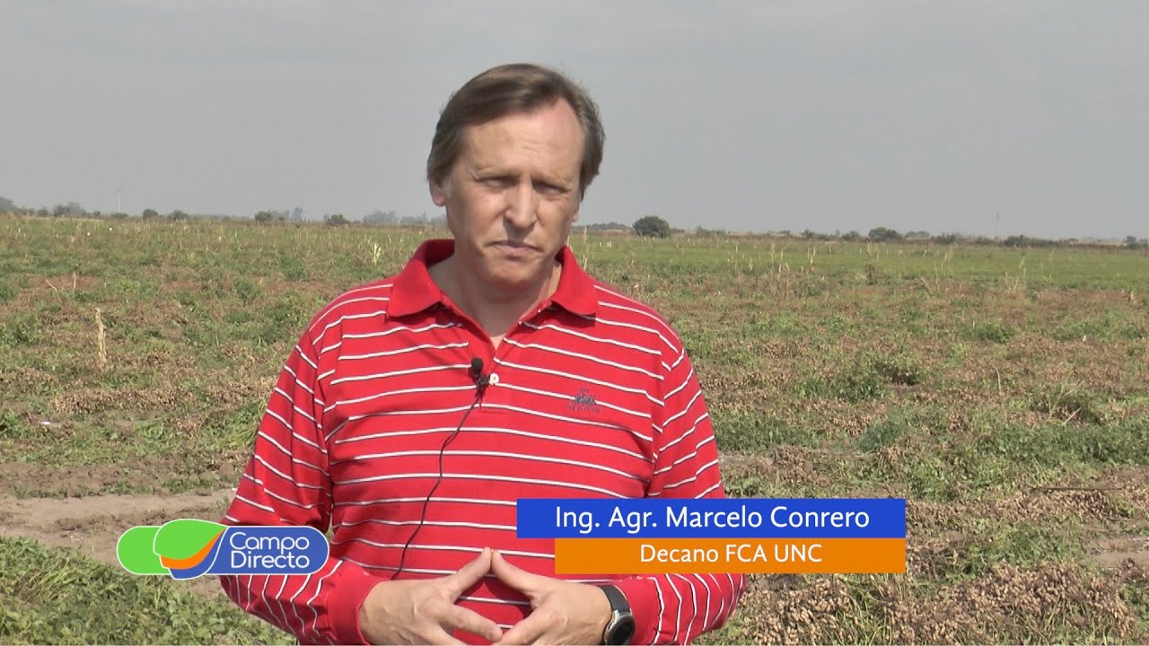 Arrancado de maní en el Campo Escuela   1era  Parte