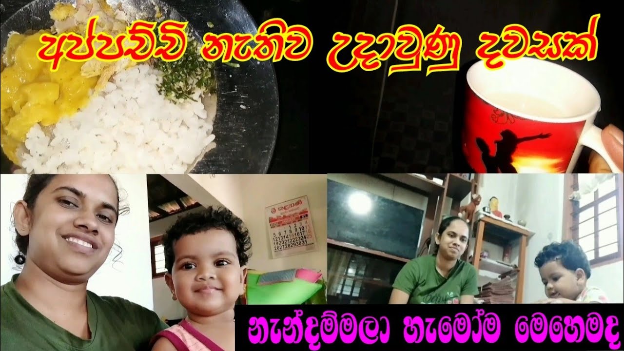 අපිව දාලා තනියම අප්පච්චි කොහෙද ගියේ