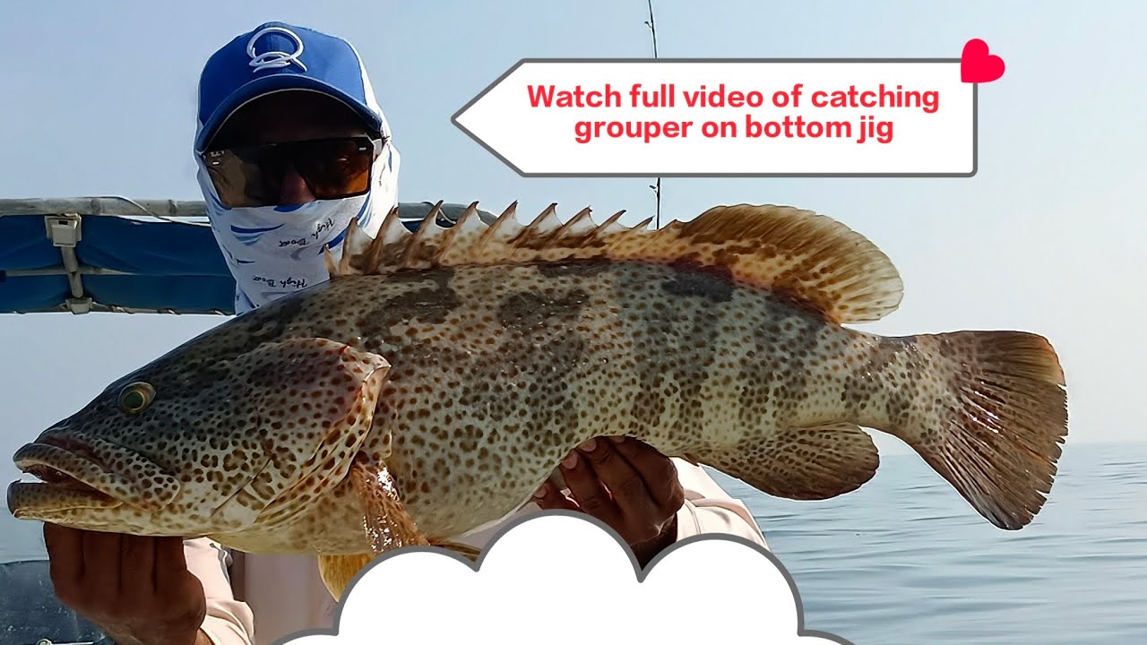Bent Rod.Heavy Grouper.Pure Power 💪🎣 #fishing #jigging #grouper #uae #abudhabi #fishingspots #foryou