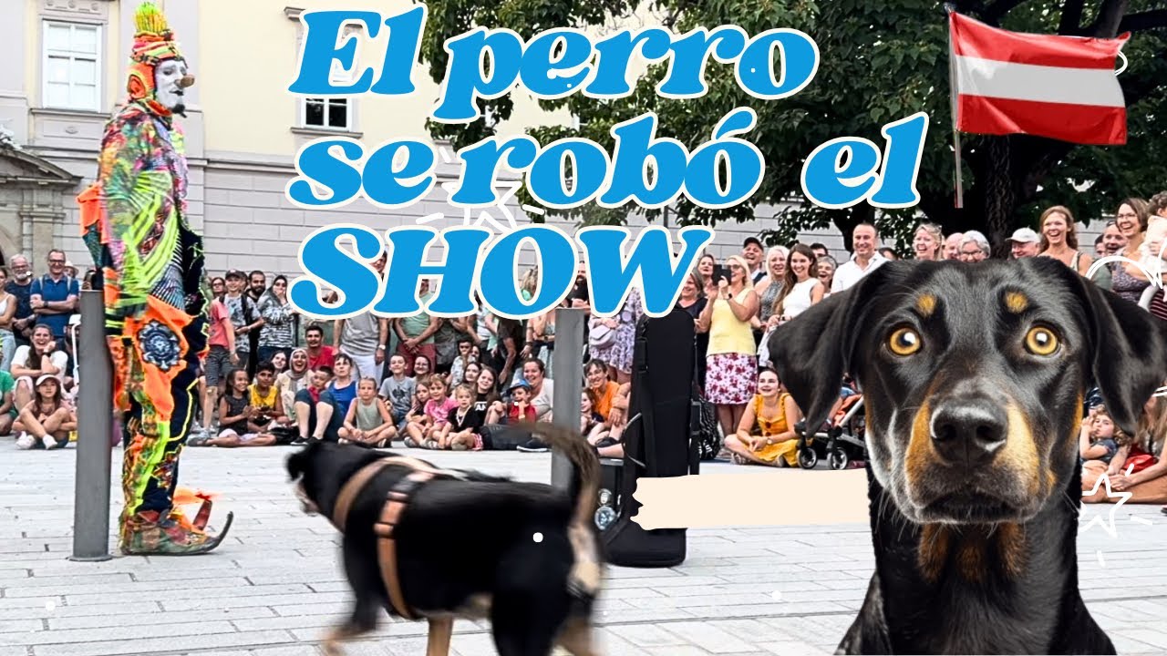 El perro lo hizo mejor que el público - Karcocha en Linz Austria - Julio 2024