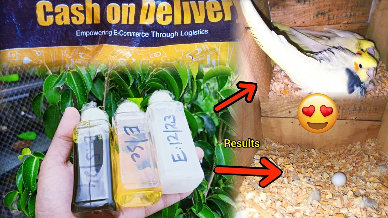 Breeding Vitamins A Gae