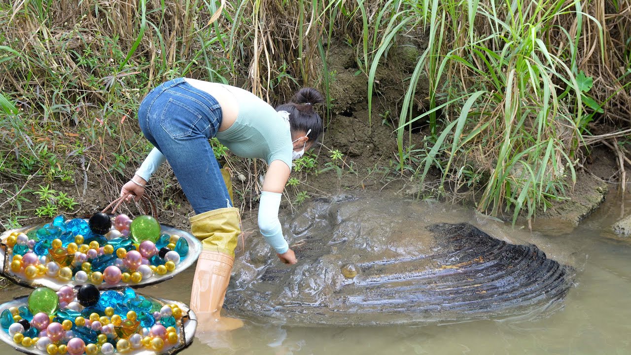 🎁 Giant Clam Mystery Deepens: Scientists Stunned by Mutant Species’ Glowing, Mysterious Treasure