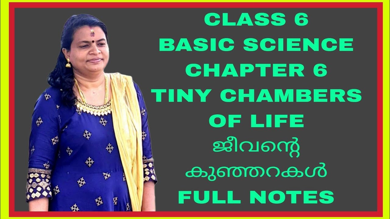 CLASS 6 BASIC SCIENCE CHAPTER 6 Tiny chambers of life ( ജീവന്റെ കുഞ്ഞറകൾ ) full notes