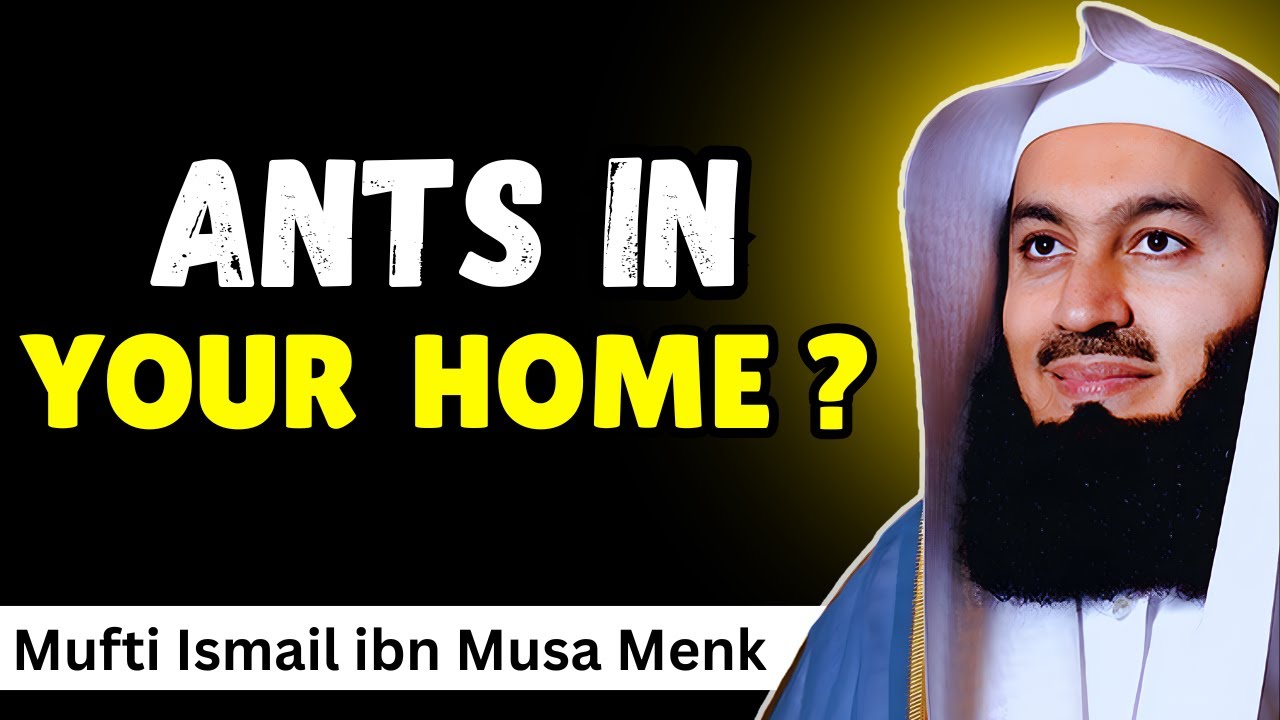 The Spiritual Meaning Behind Ants in Your Home &mdash; Mufti Menk Islamic Speech