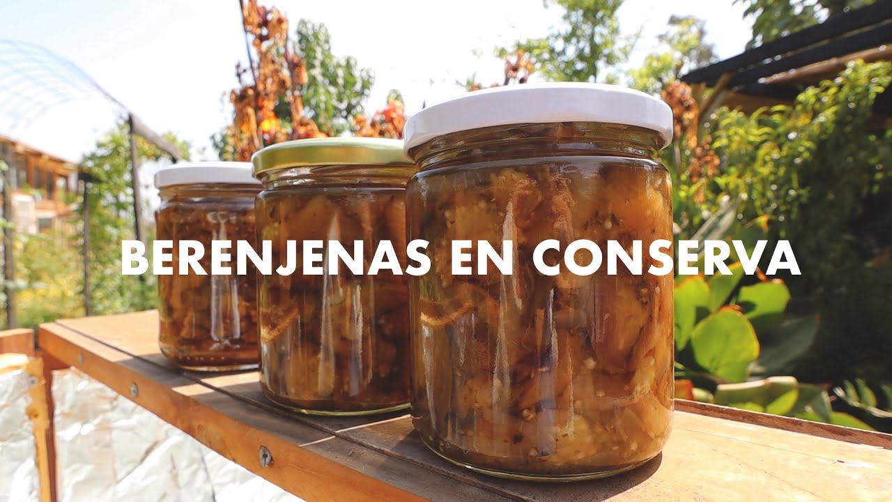 Conserva de Berenjena | Disfruta tu cosecha de Berenjenas todo el Año