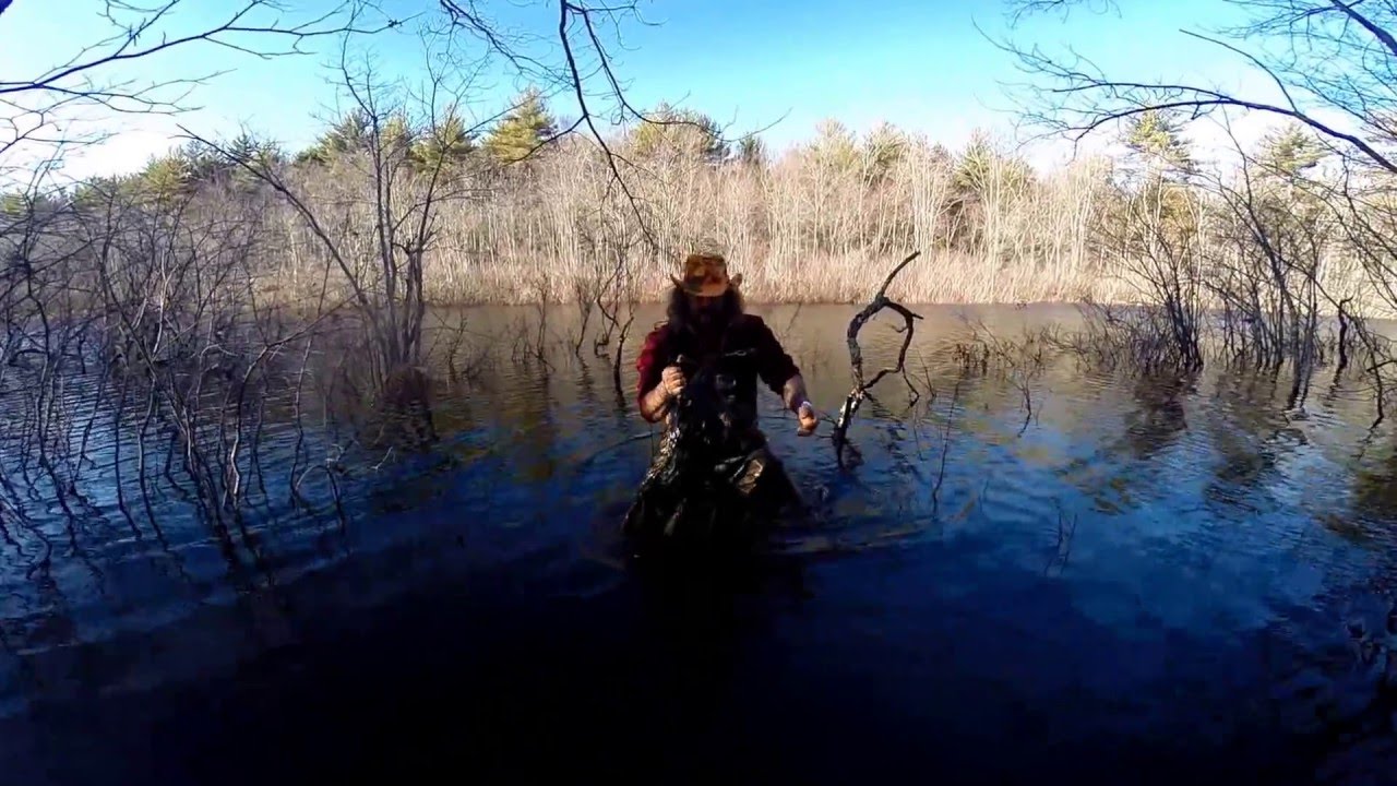 SPRING BEAVER TRAPPING  2016, POLE/PLATFORM DROWNER RIG CATCH !!