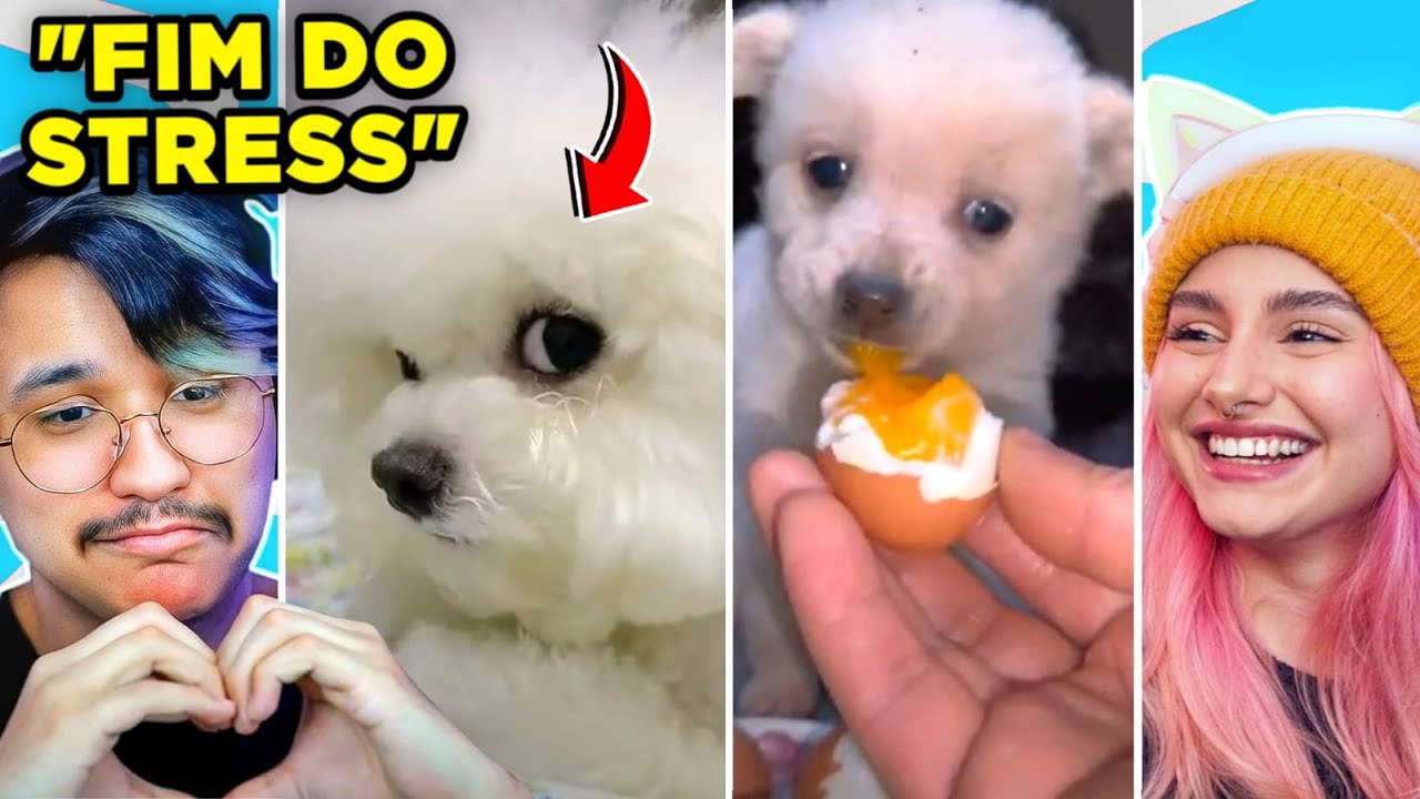 vídeos para ACABAR com seu STRESS