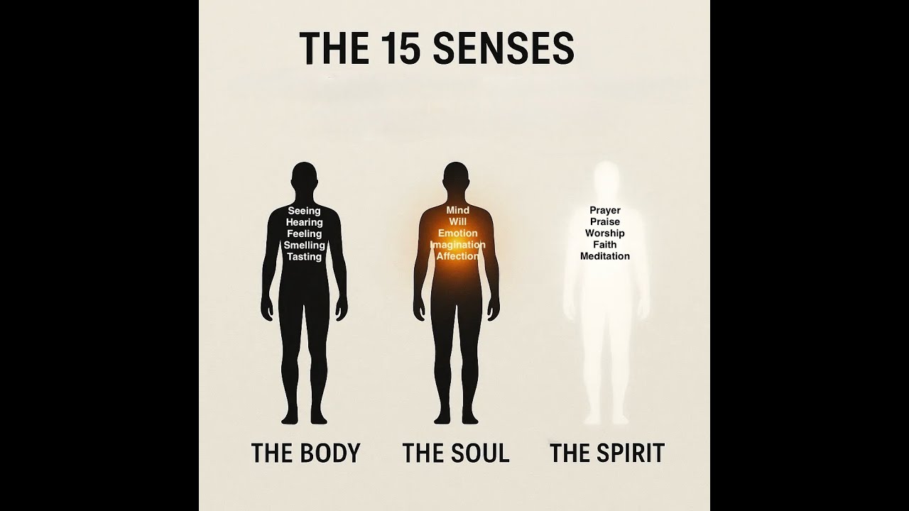 The 15 Senses👀
