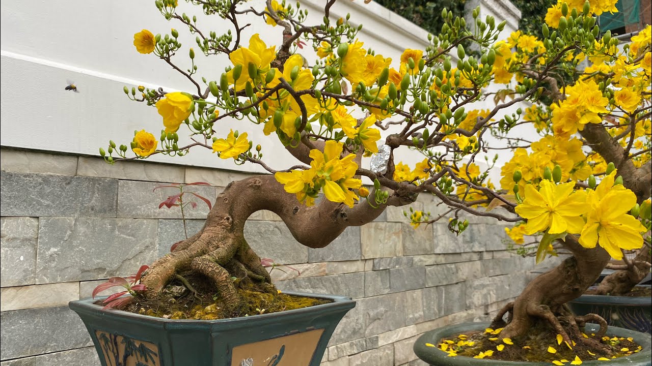 Một năm nhìn lại