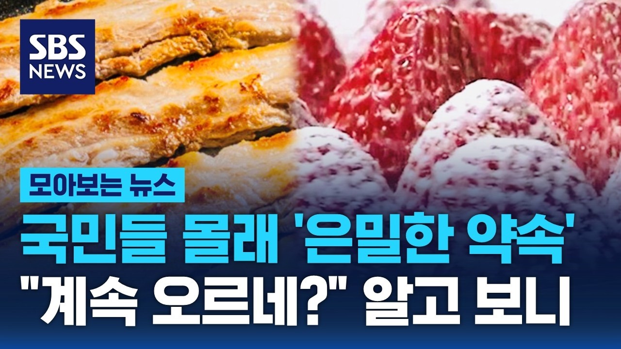 국민들 몰래 '은밀한 약속'…