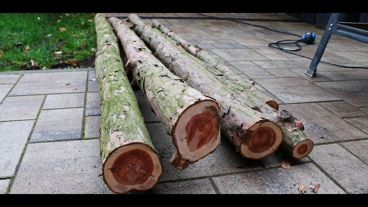Eibenholz Spalten/ Bogenbau