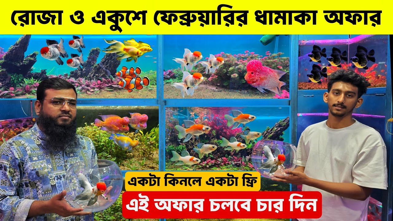 Aquarium Fish Price In Bangladesh 2026🐠Aquarium Fish Price | Aquarium | Aquarium Fish Price In BD🐠
