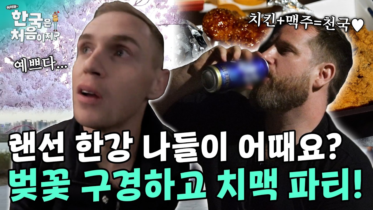 랜선 한강 나들이 어때요? 한강에서 벚꽃 구경하고 치맥 파티! | #어서와한국은처음이지 | EP.86회 외