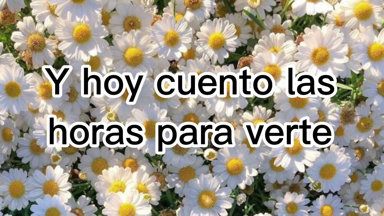 Ventino- Bueno para mi- Letra