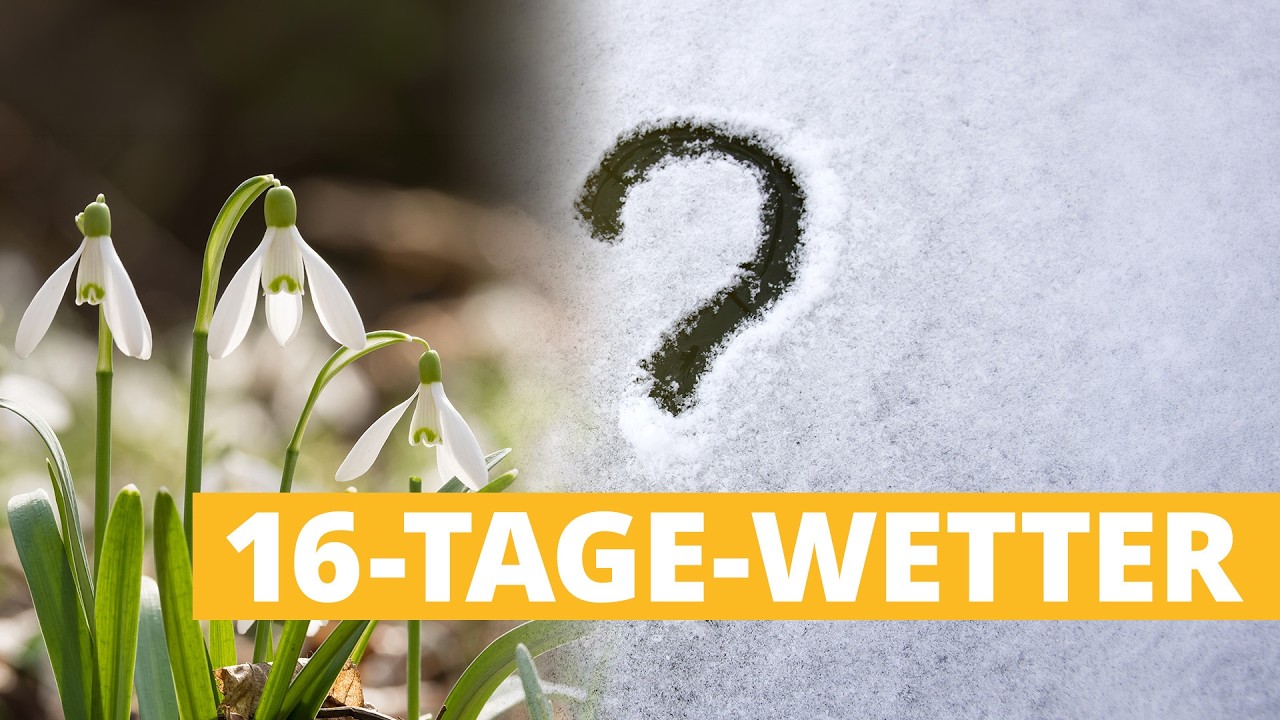 Wetter 16 Tage: Schneeglöckchen oder Schneeflöckchen?