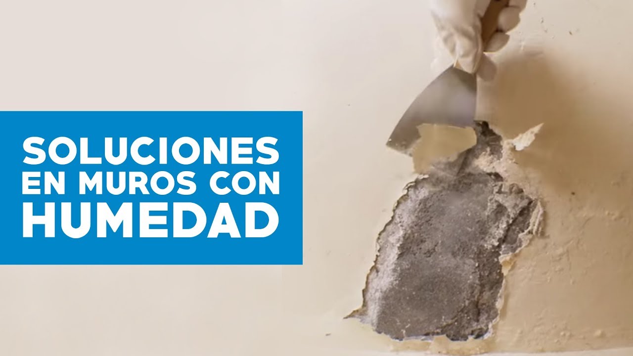 Cómo solucionar problemas de humedad en muro