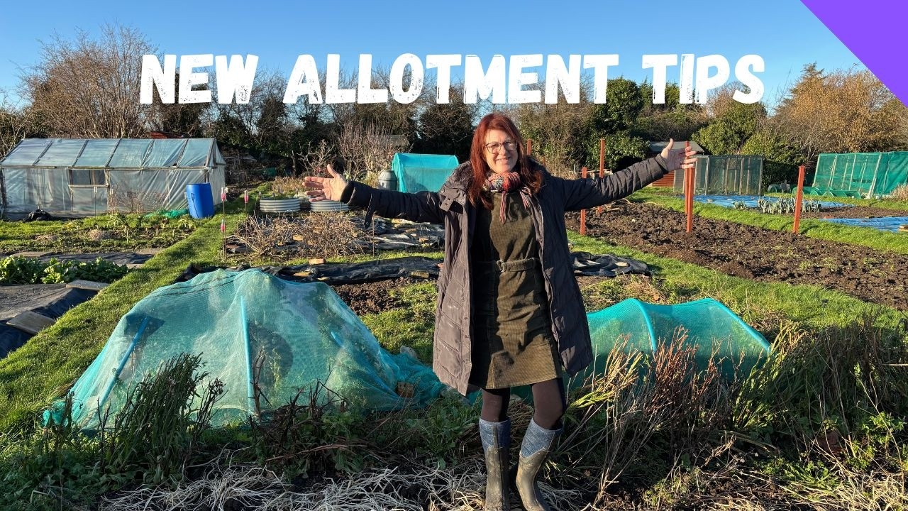 How To Start An Allotment - Allotment Gardening For Beginners UK