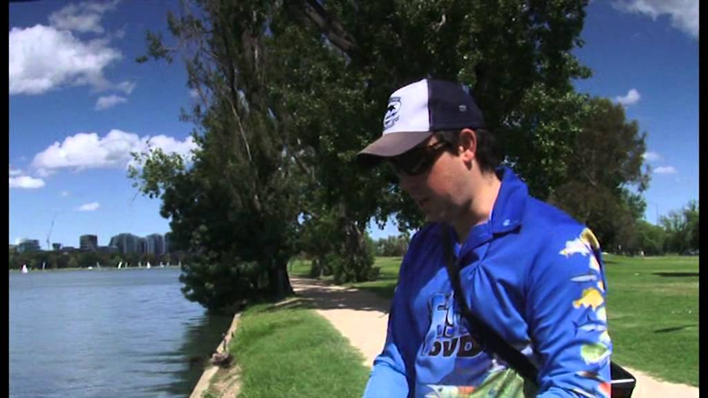 Golden Perch with EcoGear ZX Blades