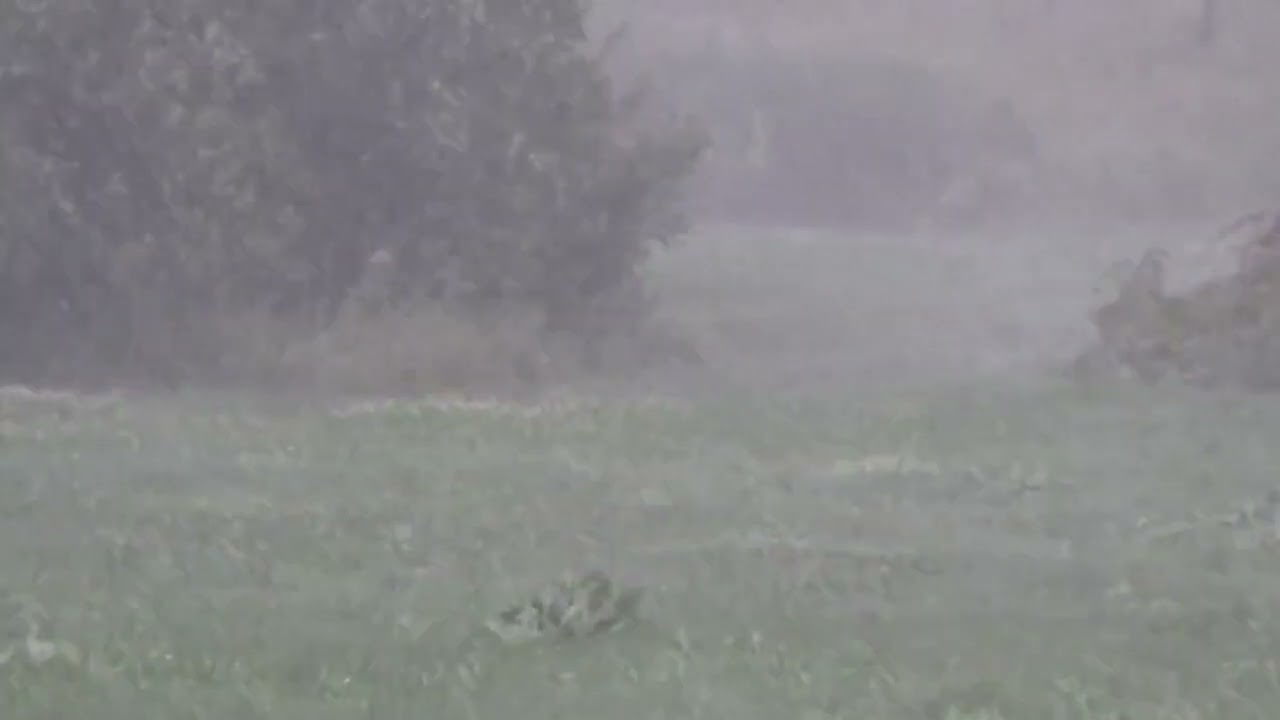 Heavy Rainfall