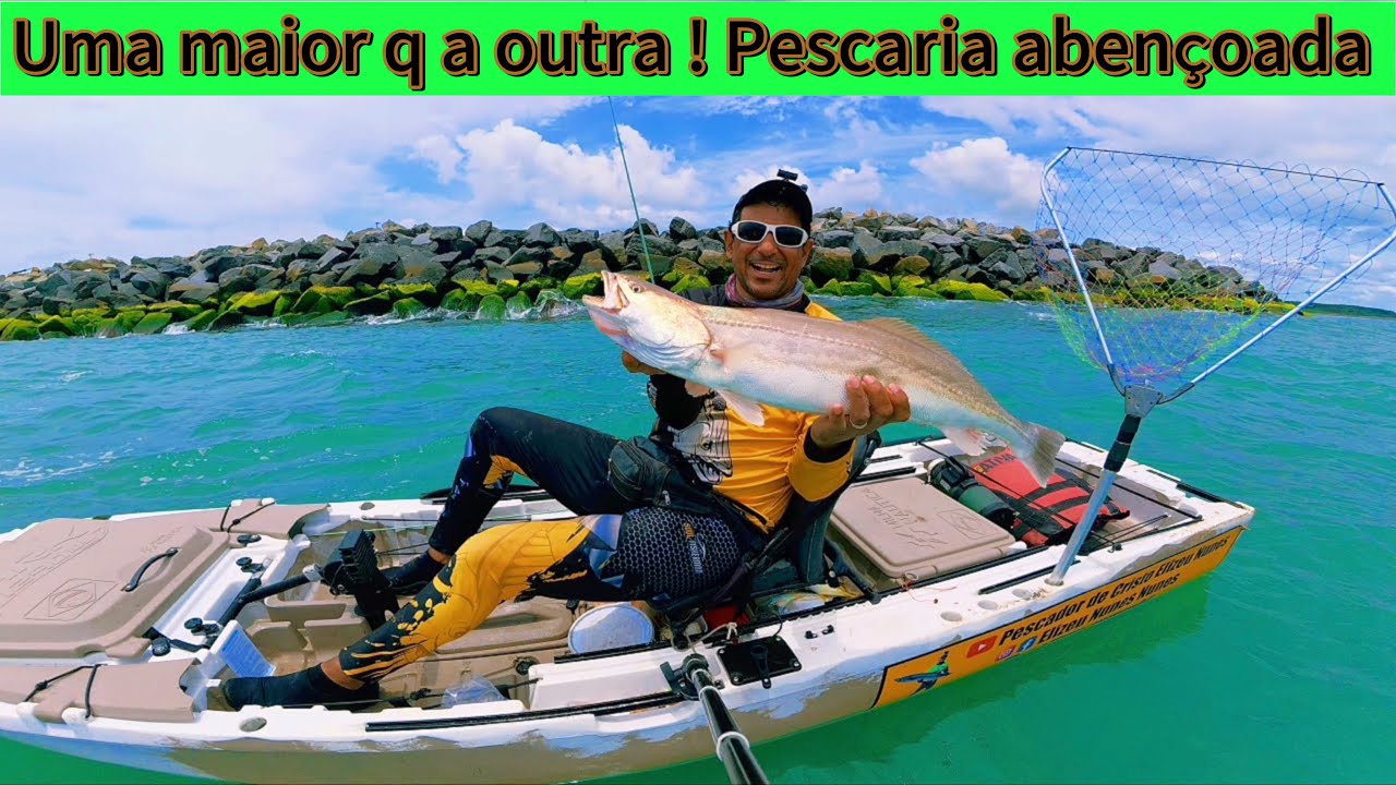OLHA O TANTO DE PESCADA AMARELA  BRUTA Q SAIU NESSA PESCARIA EM ARACRUZ,