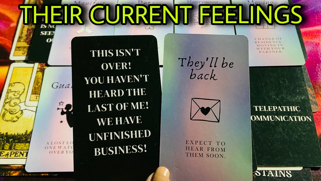 Their Current Feelings 🩷🩷 Timeless Tarot 🩷🩷 Hindi-Urdu 💕💞
