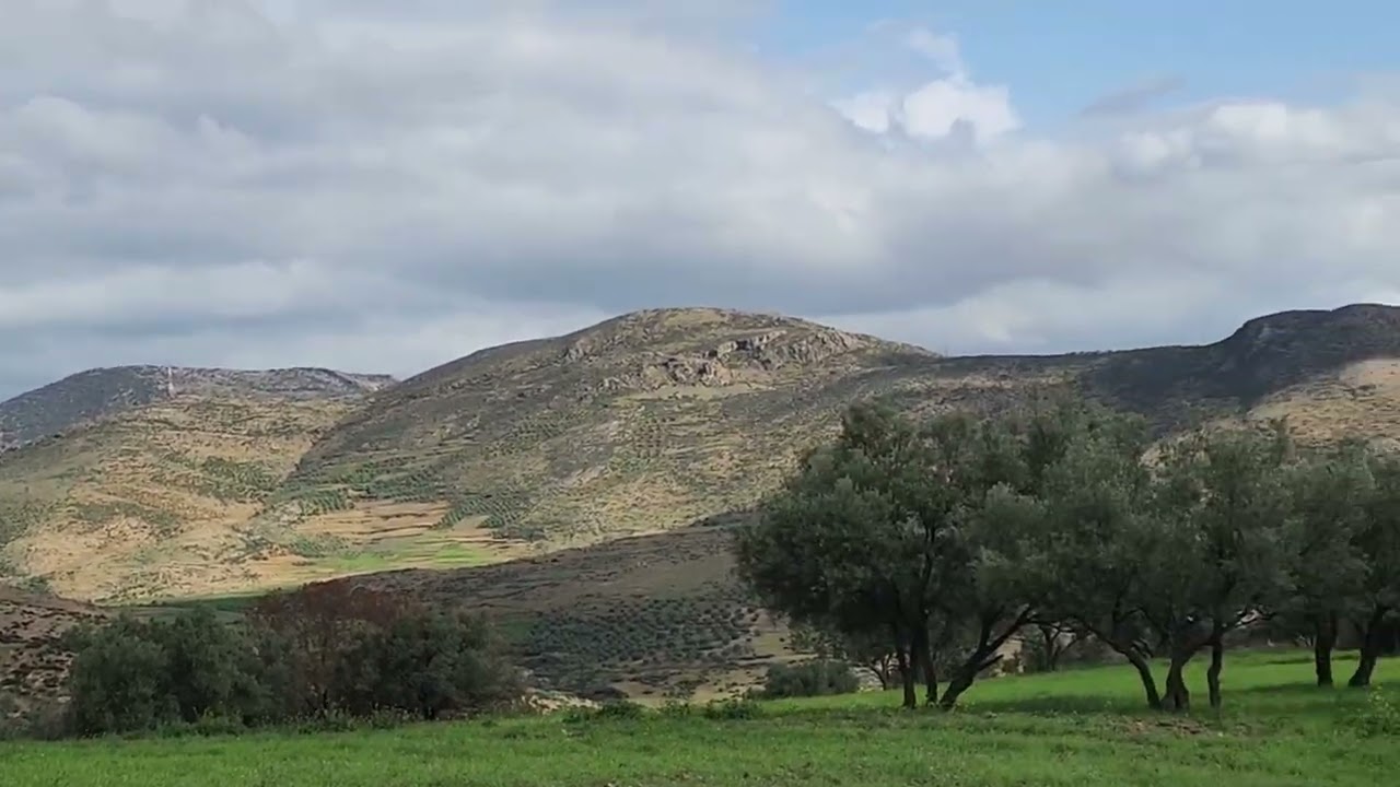 08/03/2026 أرض مساحتها 1600متر محافظة ثمن  7مليون الهاتف 0666061770