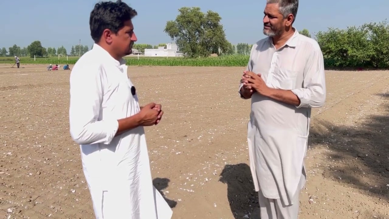 ਲਸਣ ਦੀ ਖੇਤੀ ਦੇਖੋ ਕਿਨੀ ਹੁੰਦੀ ਆ ਕਿੱਲੇ ਦੀ