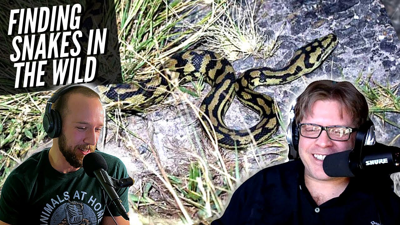 What I Learned from Snakes in the Wild | Eric Burke