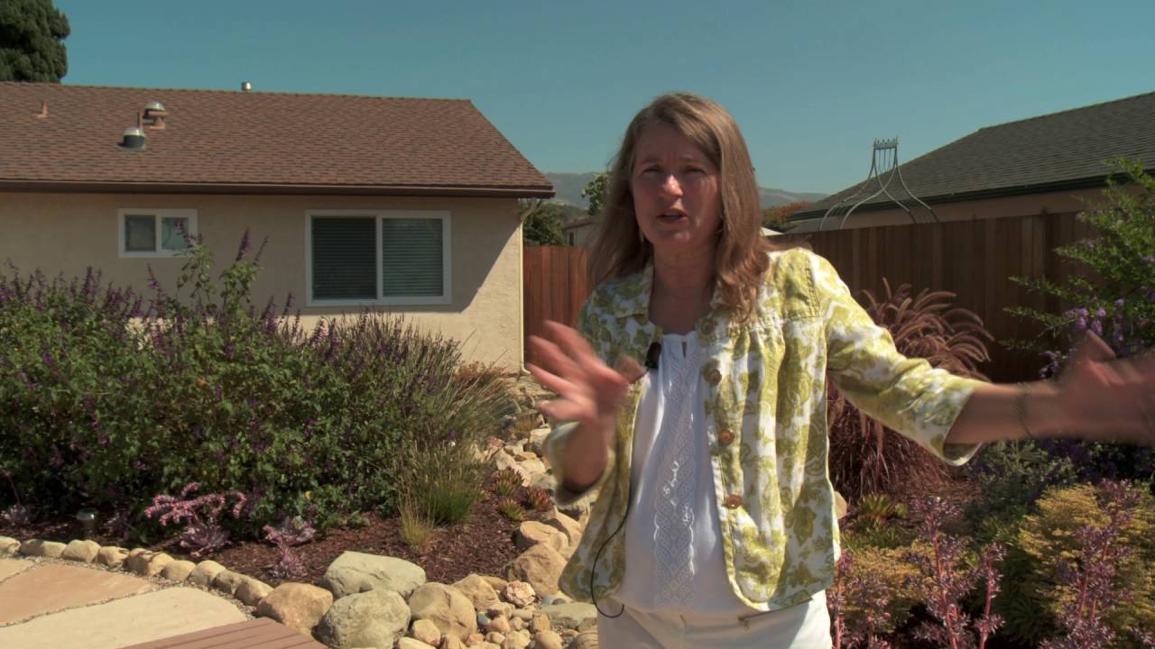 Design a Water Wise Garden with Joan Bolton