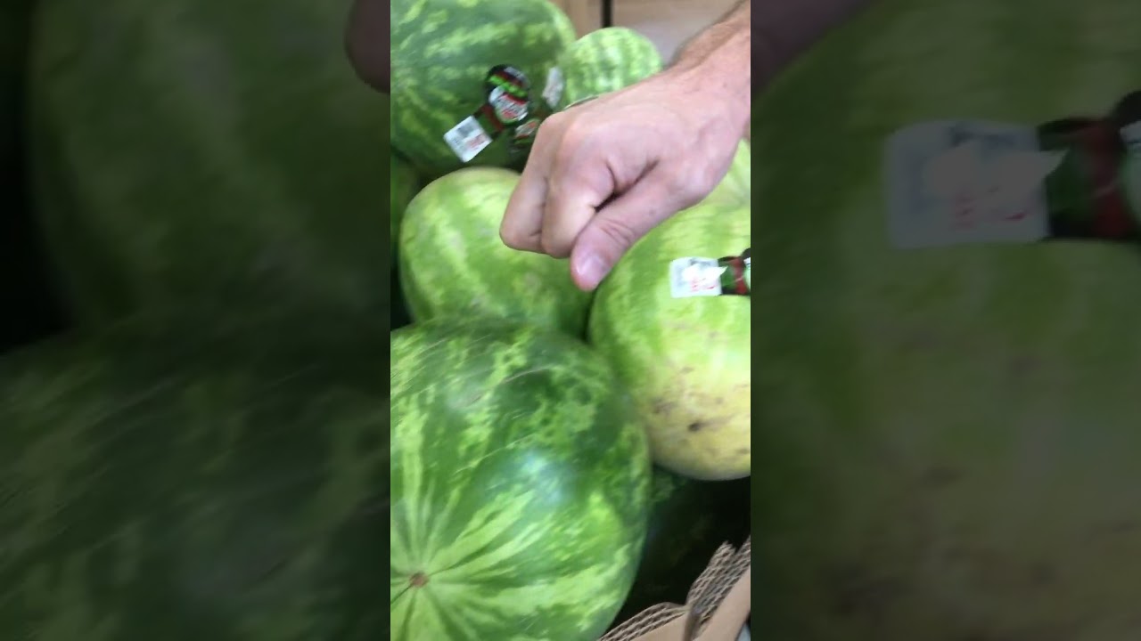 Watermelon thumping