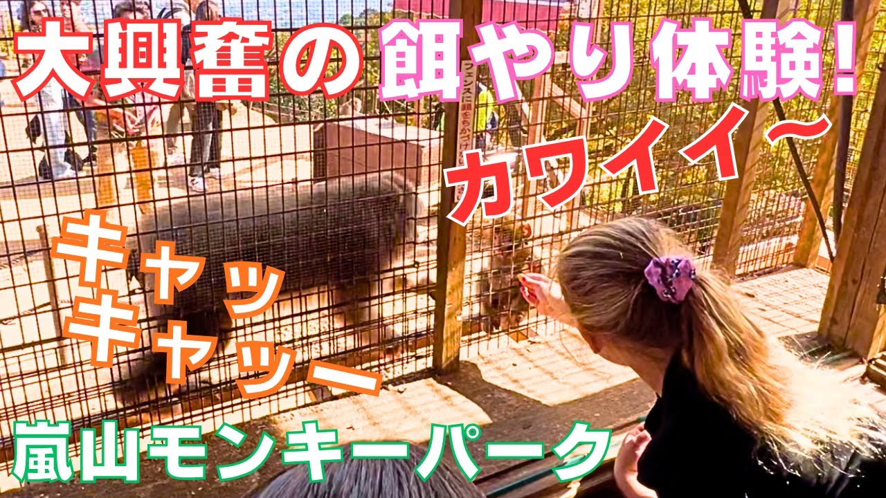 🐒はじめて見るお猿さんの餌やり体験に🙉海外の子供達は大喜び‼️＝Monkey park 🐒Arashiyama Kyoto Japan