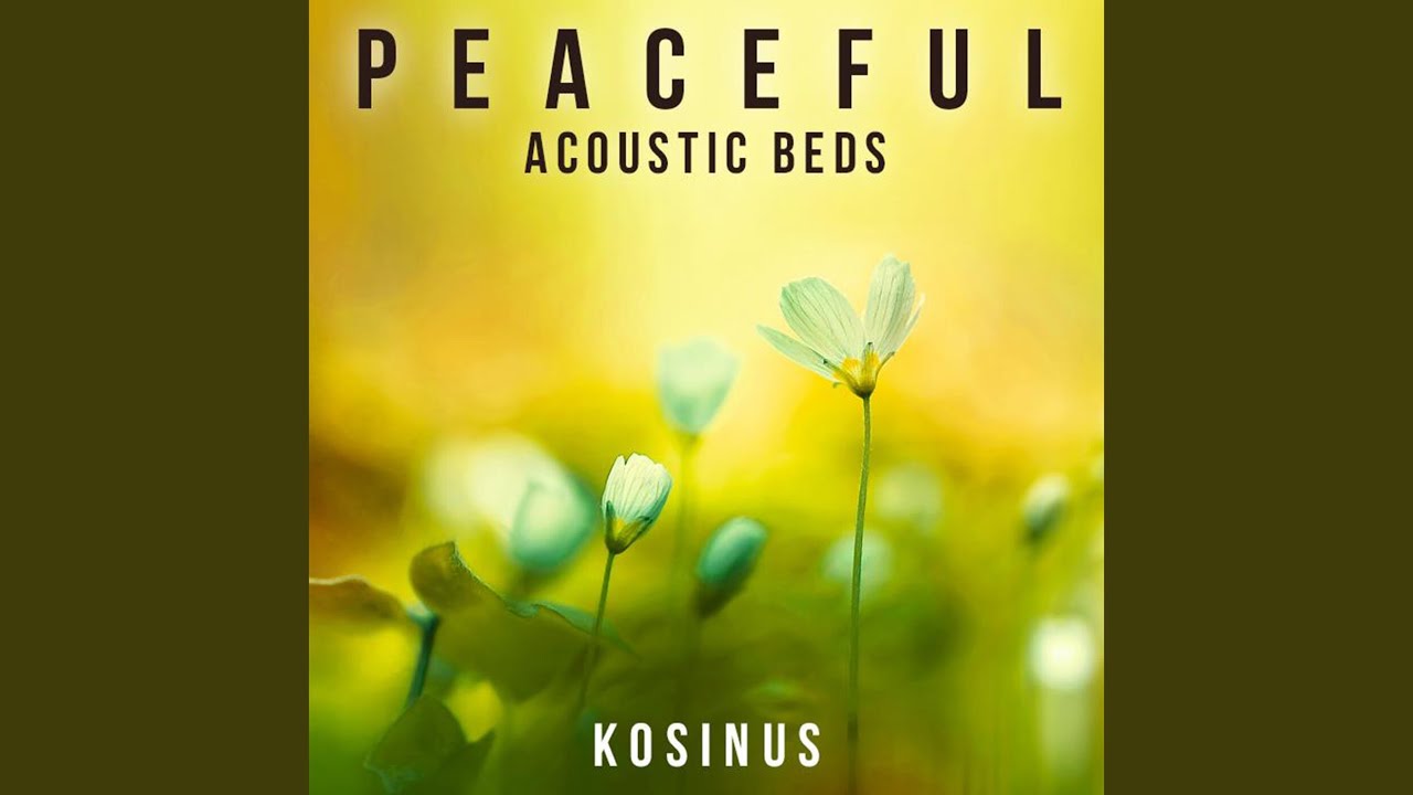 Gentle Acoustic Bed