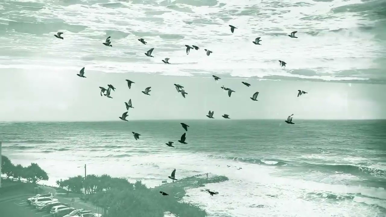 YEARNS - Fata Morgana
