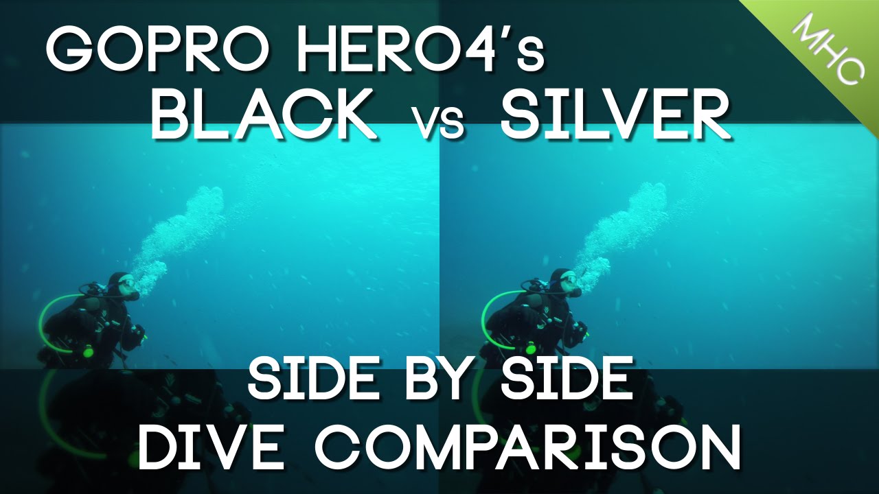 GoPro Hero4 Diving Comparison Black vs Silver (Daytime)