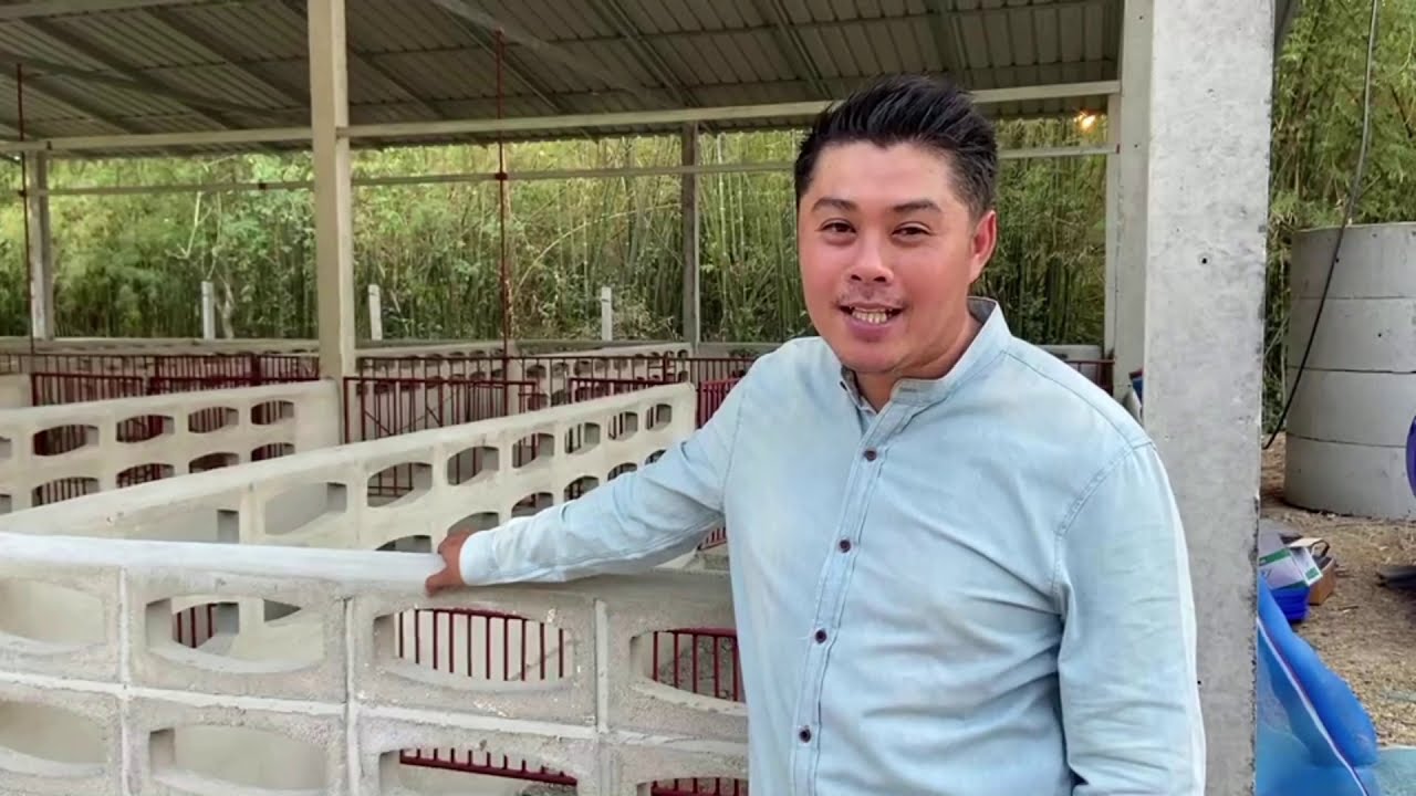 หมูหลุมบ้านดงบัง
