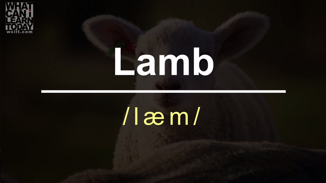 How to pronounce the word 