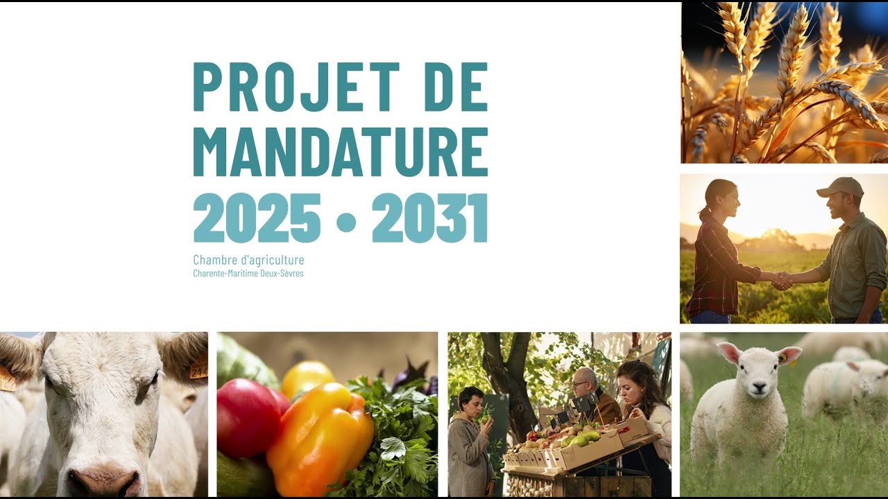 Projet de mandature 2025-2031 - Chambre d'agriculture Charente-Maritime Deux-Sèvres