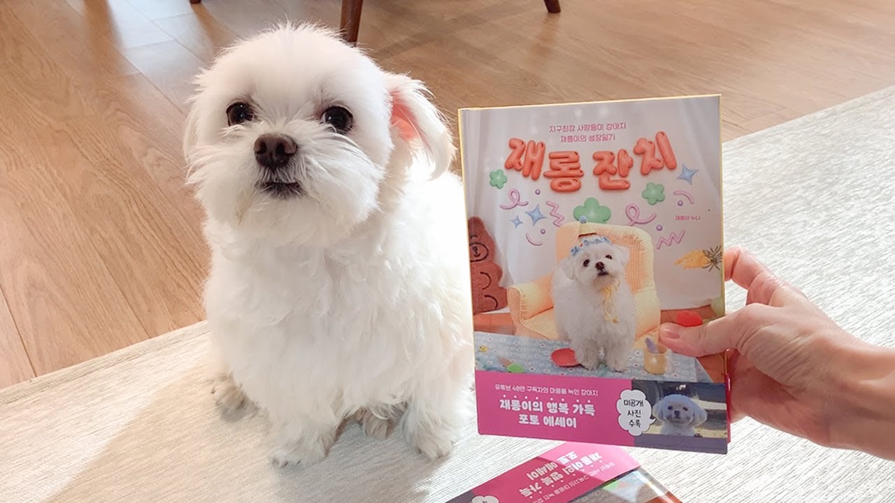 재롱이 책이 나왔어요!
